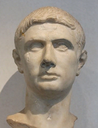0040-brutus.jpg