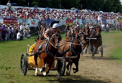 0041-chariot_racing.jpg