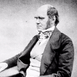 0048-charles_darwin.jpg
