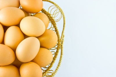 0048-chicken_eggs.jpg