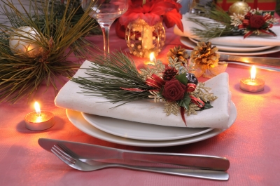 0146-napkin_decorated_for_the_christmas.jpg