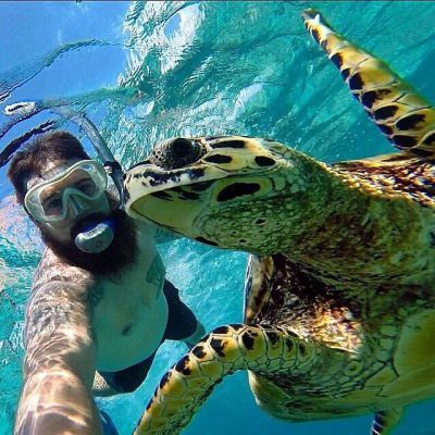 0323-turtle_selfie_indonesia_wildlife_travel_ocean_underwater_gopro.jpg